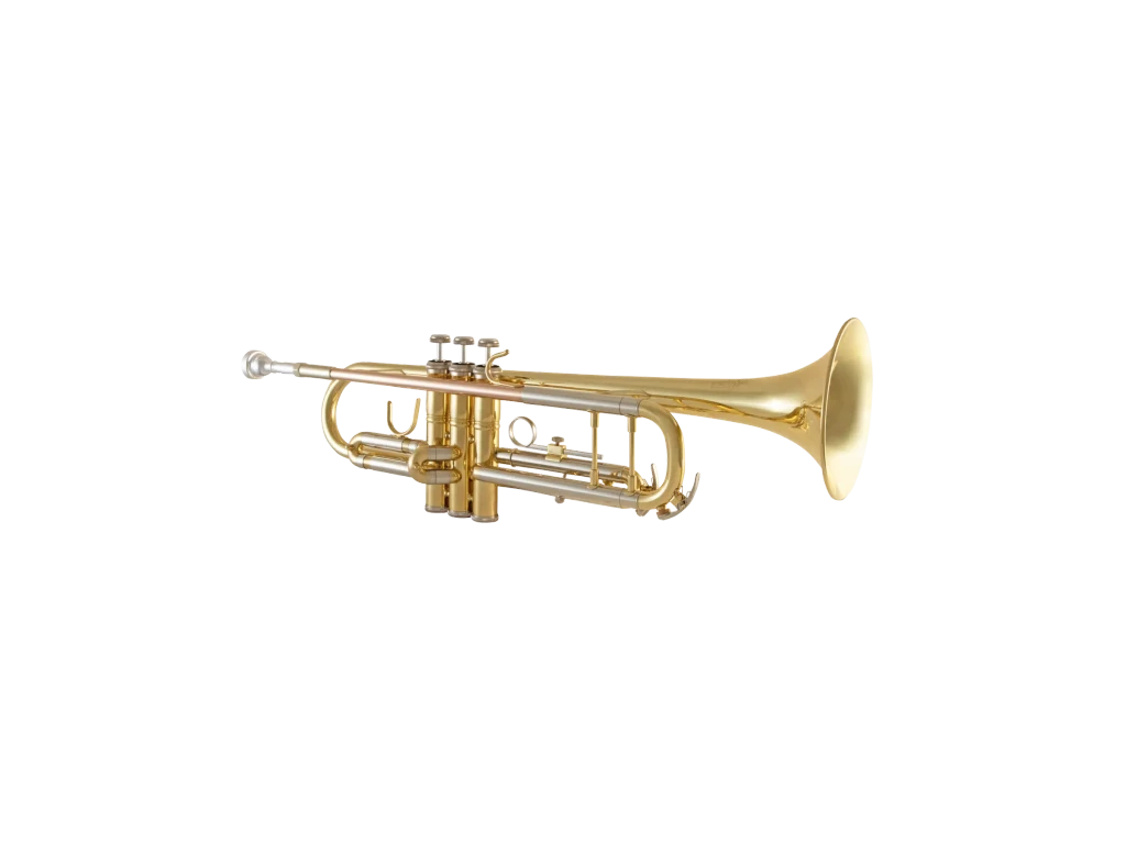 BTR211 Bach standard Student Valve Trumpet In Fr Hz Fs