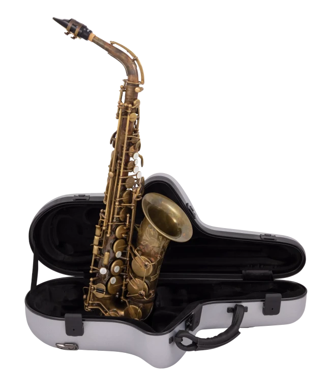 CAS811LTD150 Conn Ltd Professional Alto Saxophone
