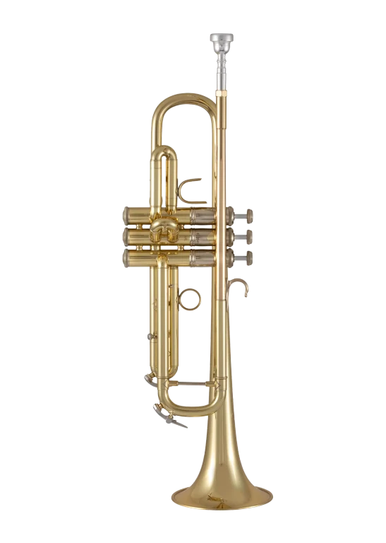 19072X Bach Standard Professional BflatTrumpet