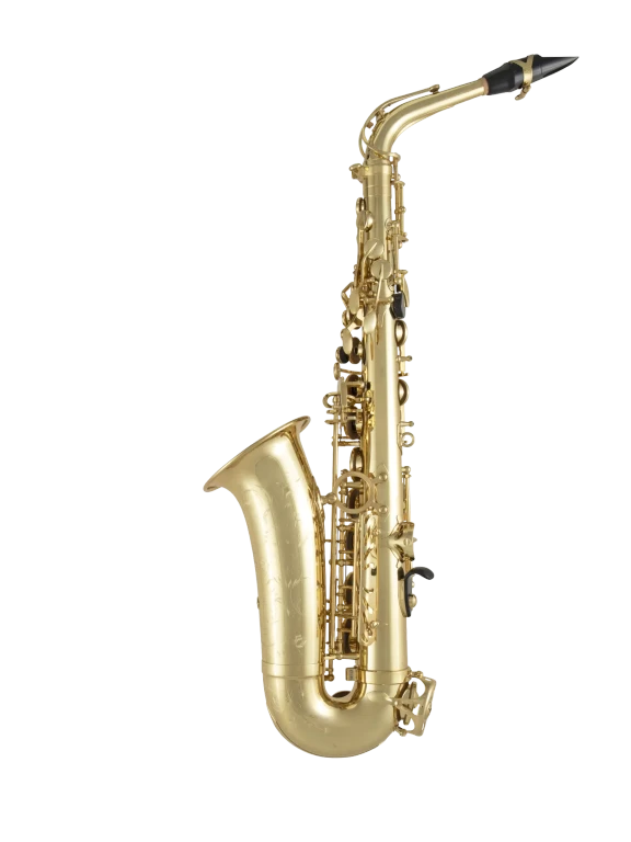 SELMER ゴールドプレート キャップ アルト用