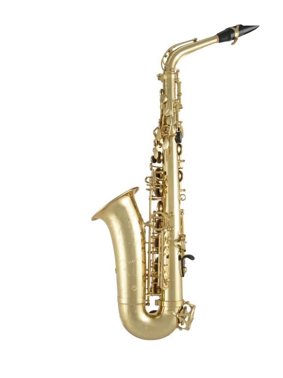 52JU Selmer Paris Standard Alto Saxophone In Bk Vr Fs