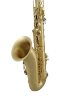 Slide 2 Thumbnail