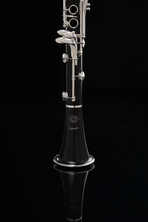 B16PROLOGUE2C Henry Selmer Paris Advanced Clarinet