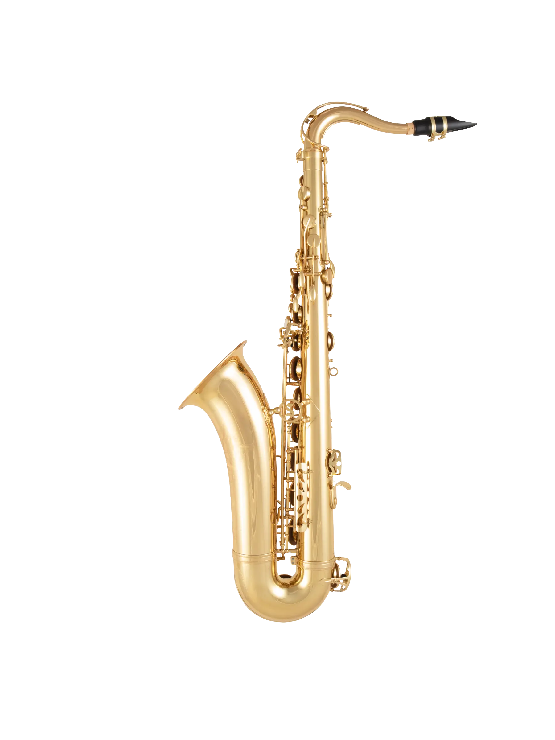 STS511 Selmer Standard Intermediate Tenor Saxophone In Bk Vr - zoomed in