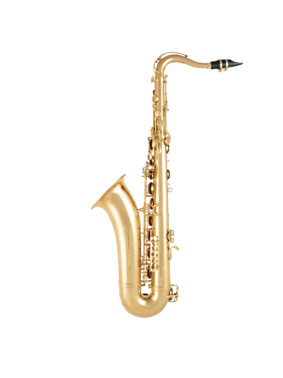 STS511 Selmer Standard Intermediate Tenor Saxophone In Bk Vr