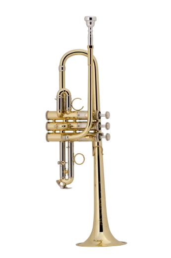 Bach Artisan Trumpet in D/Eb ADE190