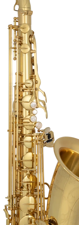 TWO10 Yanagisawa Professional Tenor Saxophone