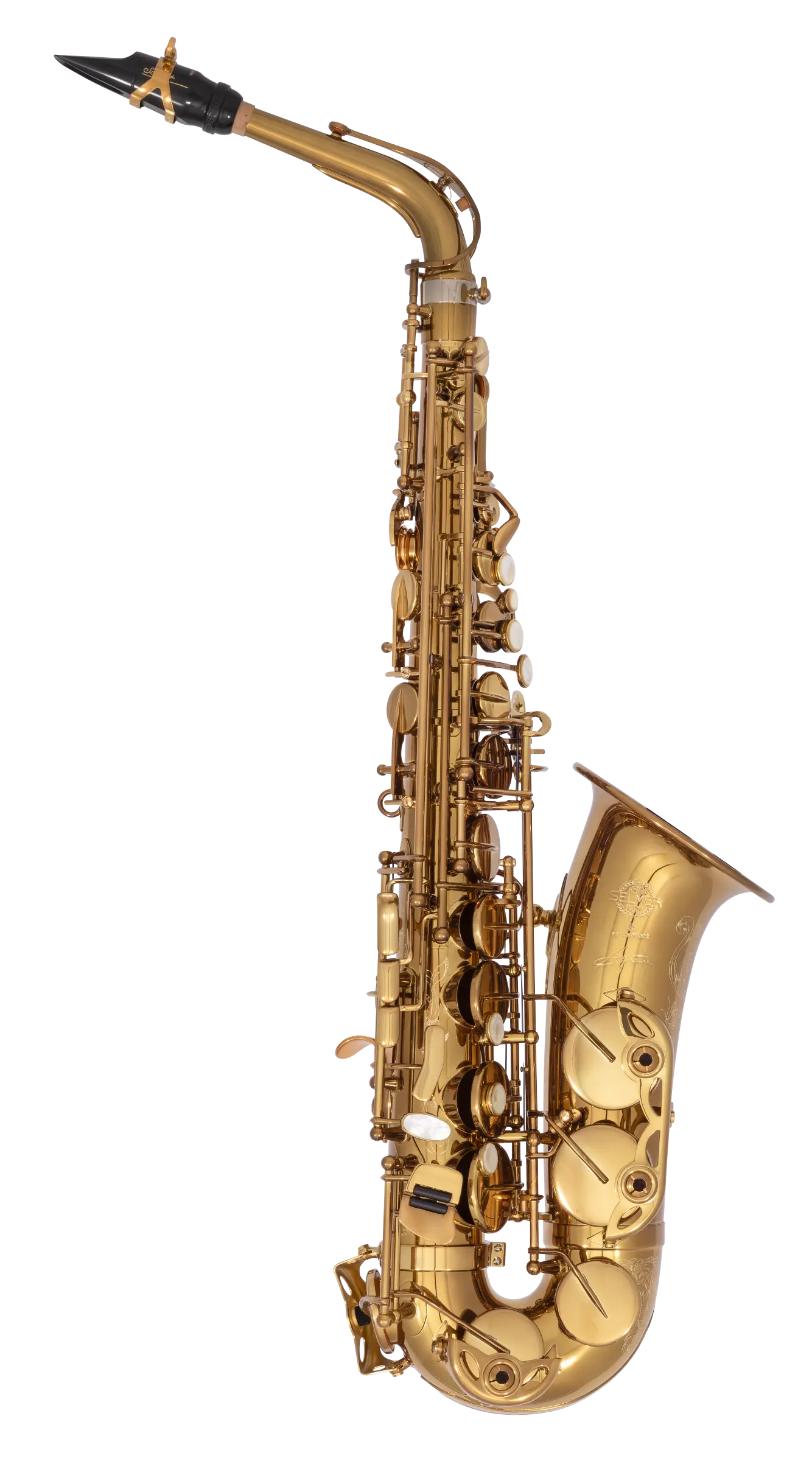 82SIGUSA1 HSP Professional  Alto - zoomed in