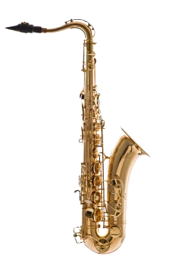 Leblanc Avant Tenor Saxophone in Bb LTS511