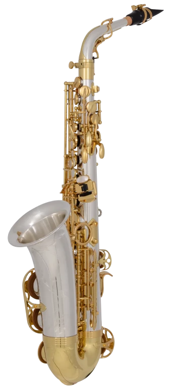 AW035 Yanagisawa Professional Alto Saxophone