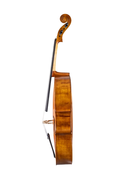 SR55E4H S&R Student Cello