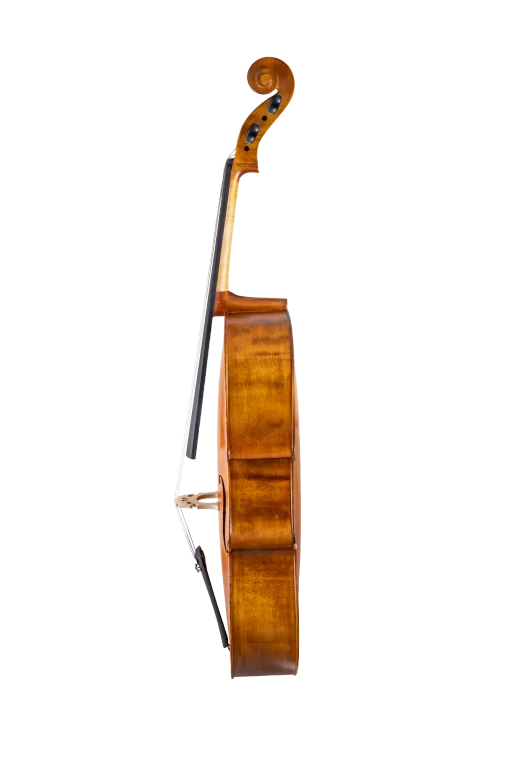 SR55E4H S&R Student Cello