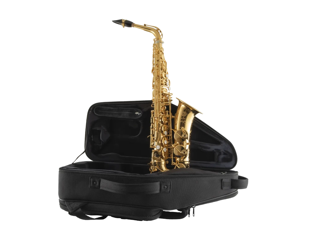 92GP HSP Professional Gold Alto Saxophone Ic Fr Hz Fs