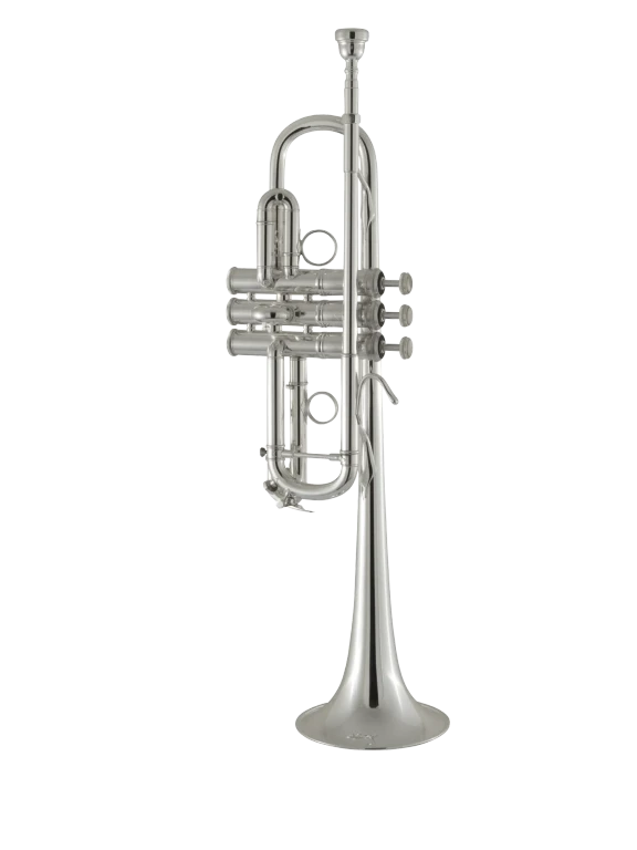 C180SL229PC Bach Silver Professional Trumpet In Fr Vr Fs