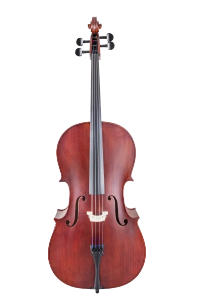 Scherl & Roth Cello SR44 Hybrid