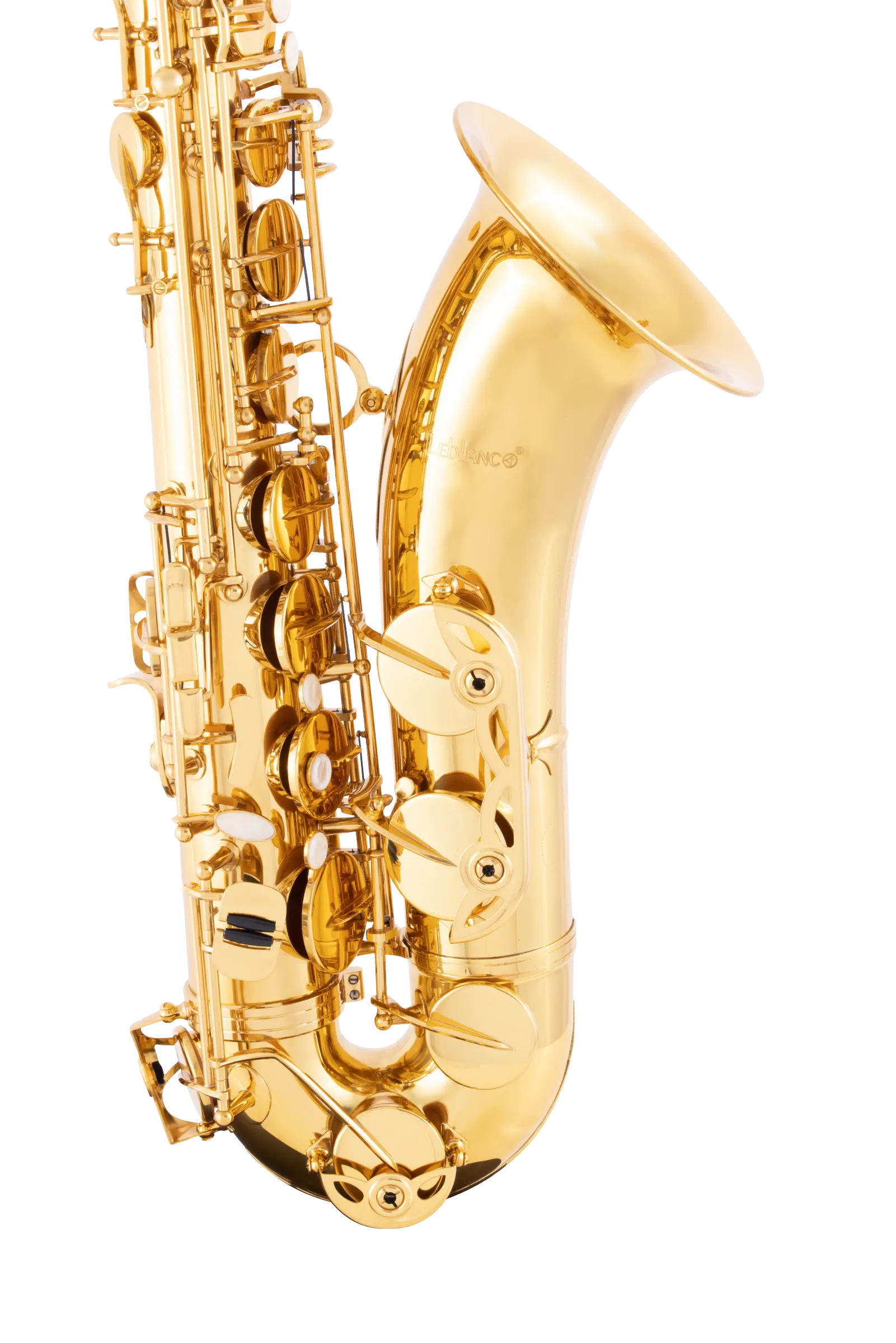 LTS211 Leblanc Student Tenor Saxophone - zoomed in