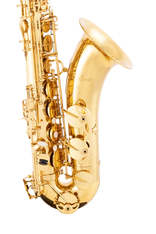 LTS211 Leblanc Student Tenor Saxophone