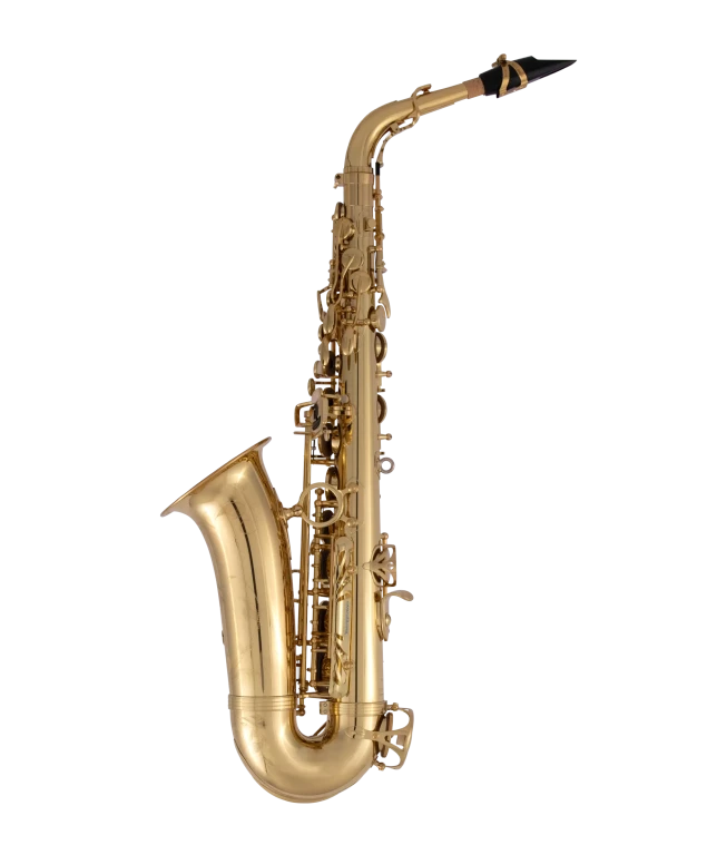 AW010 Yanagisawa Professional Alto Saxophone