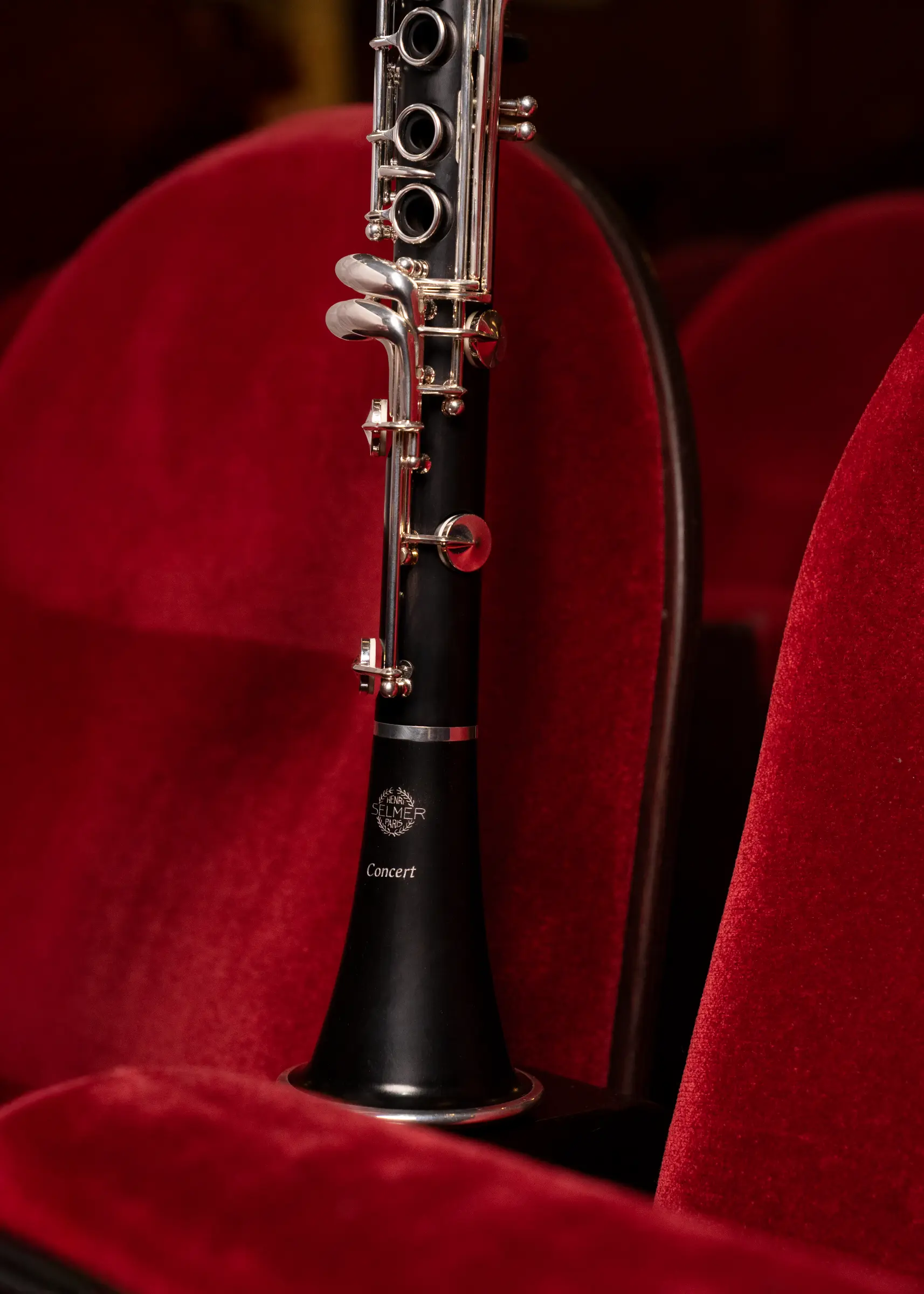 B16PROLOGUE2C Henry Selmer Paris Advanced Clarinet - zoomed in