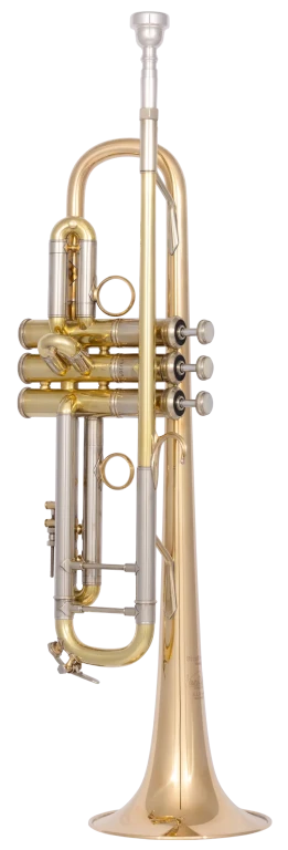 190L65GVU Bach Professional Trumpet