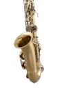 Selmer Alto Saxophone in Eb SAS301