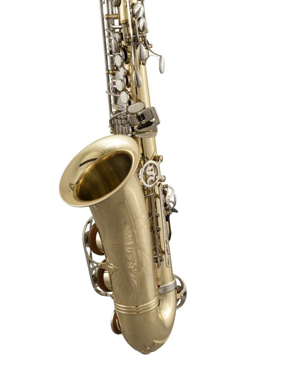 SAS301 Selmer Student Alto Saxophone In Bk Vr Ls