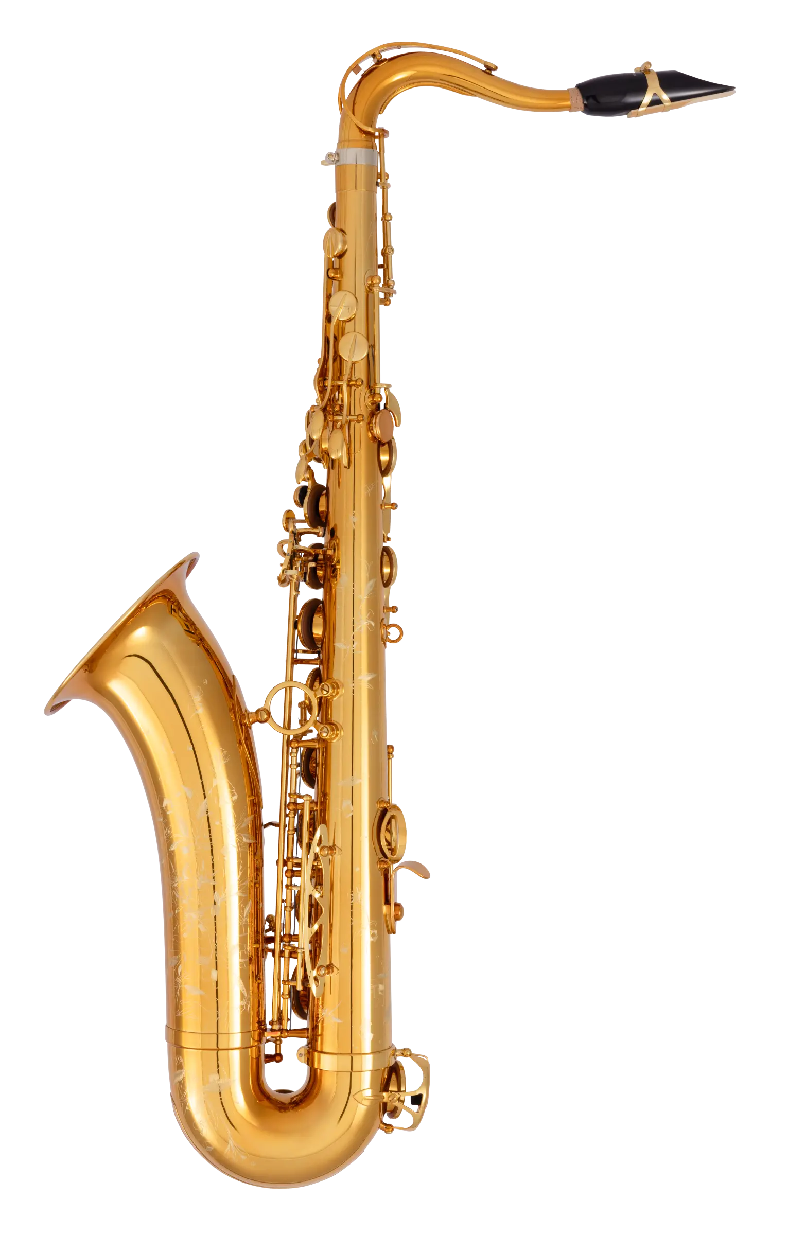 94DL HSP Professional Tenor Sax - zoomed in