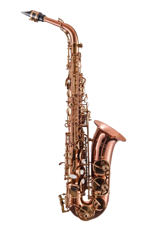 LAS711DL Leblanc Premiere Alto Saxophone with Underslung Neck