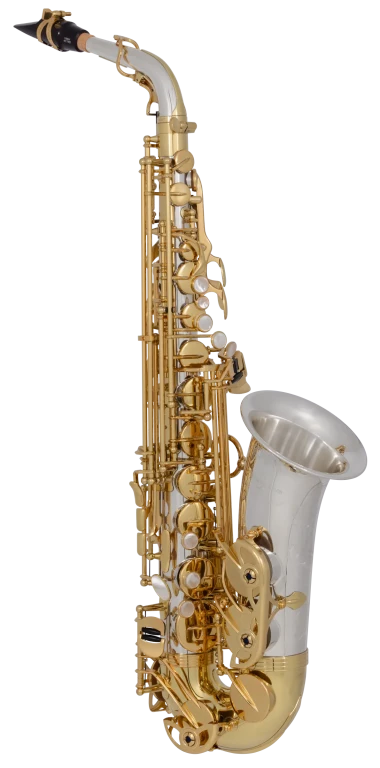 AW035 Yanagisawa Professional Alto Saxophone
