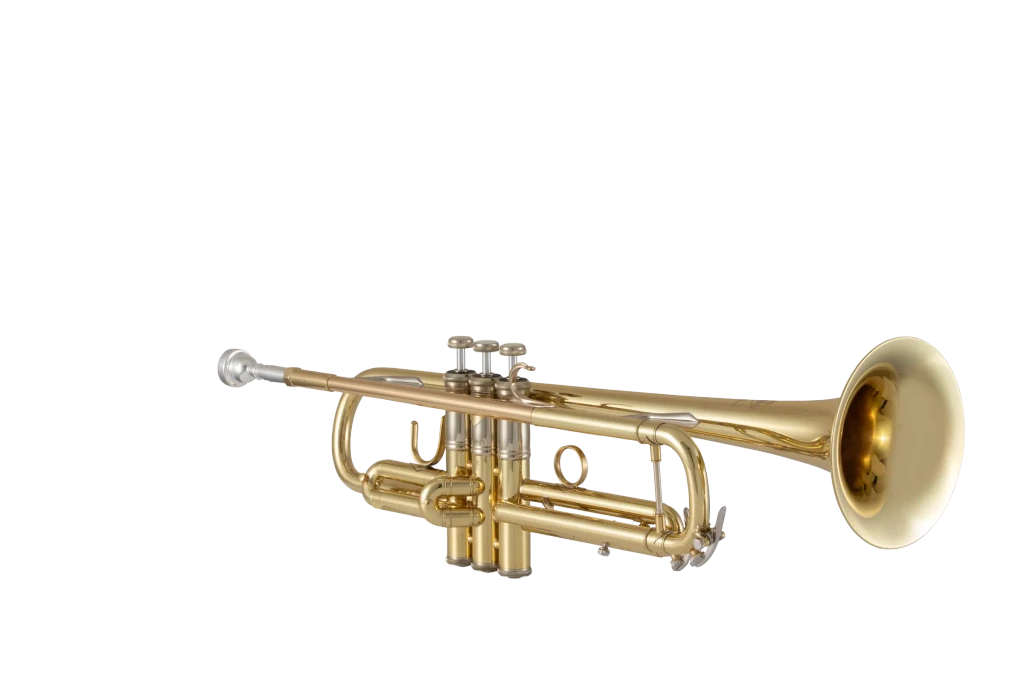 19072X Bach Standard Professional BflatTrumpet