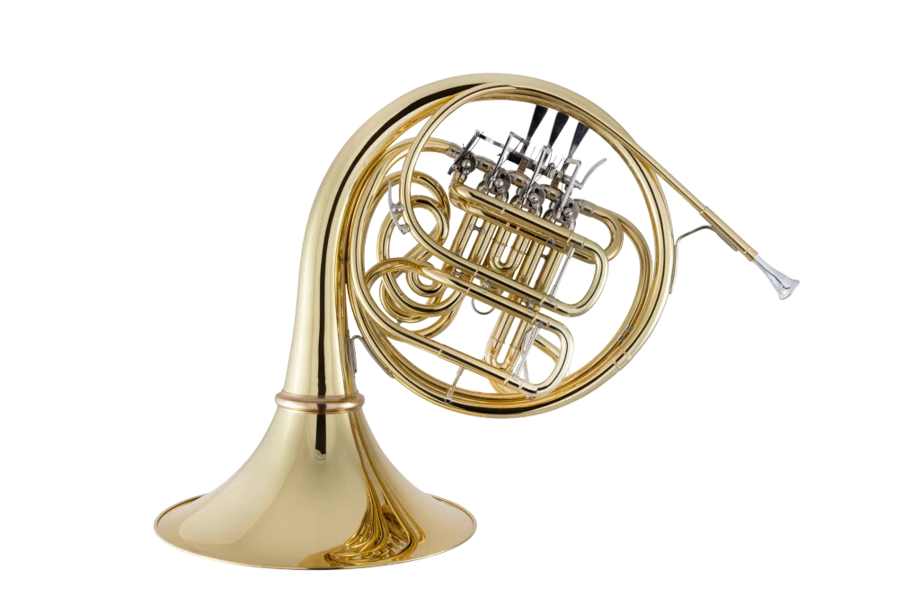 10DYS Conn Professional French Horn