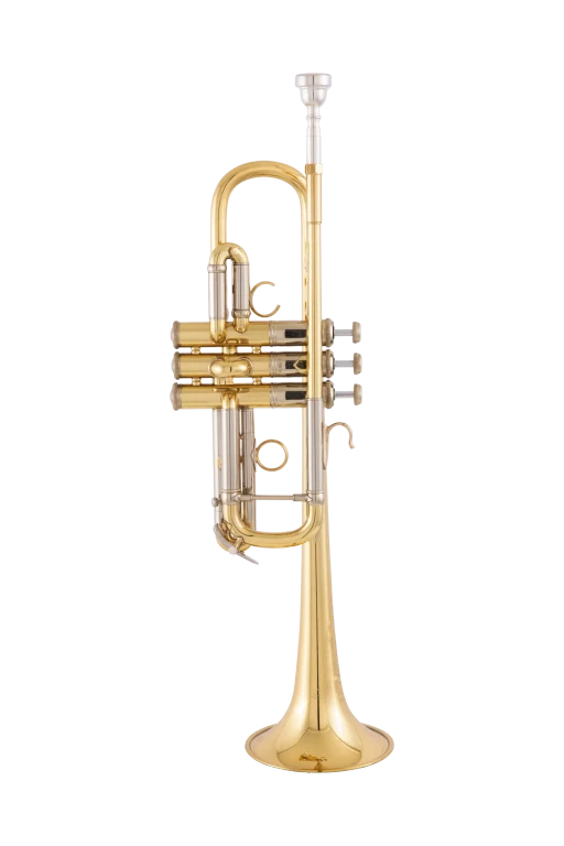 AC190 Bach Professional Artisan Trumpet
