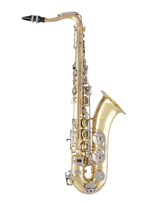 Selmer Tenor Saxophone in Bb STS301