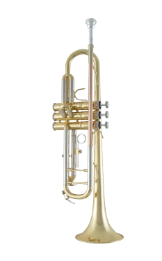 Bach Trumpet in Bb BTR211