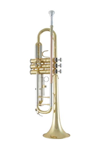 Bach Trumpet in Bb BTR211