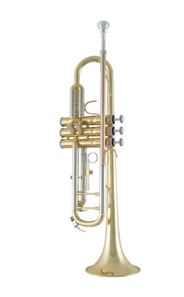 Bach Trumpet in Bb BTR211