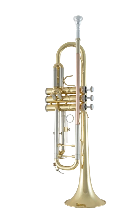 BTR211 Bach Standard Student Valve Trumpet In Fr Vr Fs