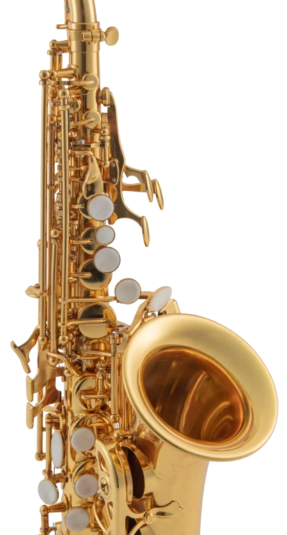 LSC311 Leblanc Beginner Curved Soprano Saxophone Close Up Middle
