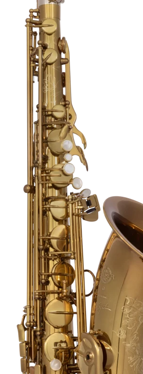 84SIGUSA1 HSP Professional Tenor