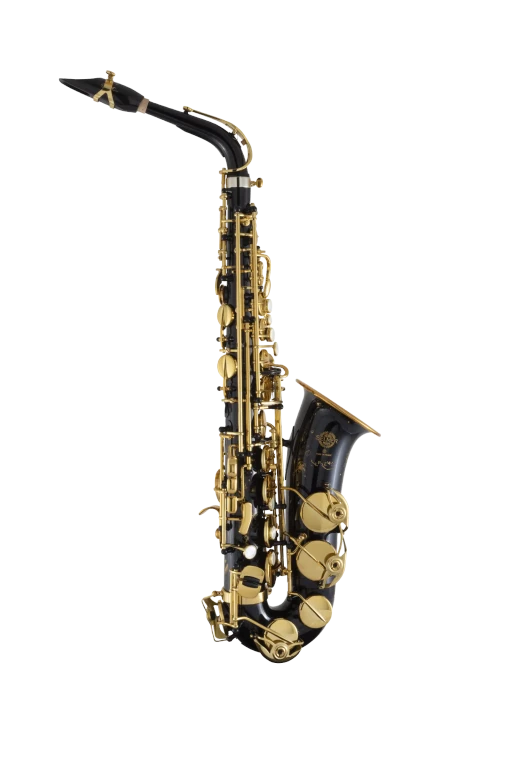 92BL HSP Professional Black Alto Saxophone In Fr Vr Fs