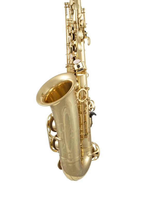 52JU Selmer Paris Standard Alto Saxophone In Sd Vr Ls