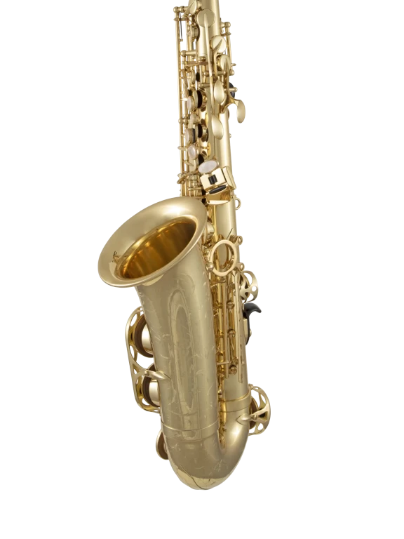 52JU Selmer Paris Standard Alto Saxophone In Sd Vr Ls