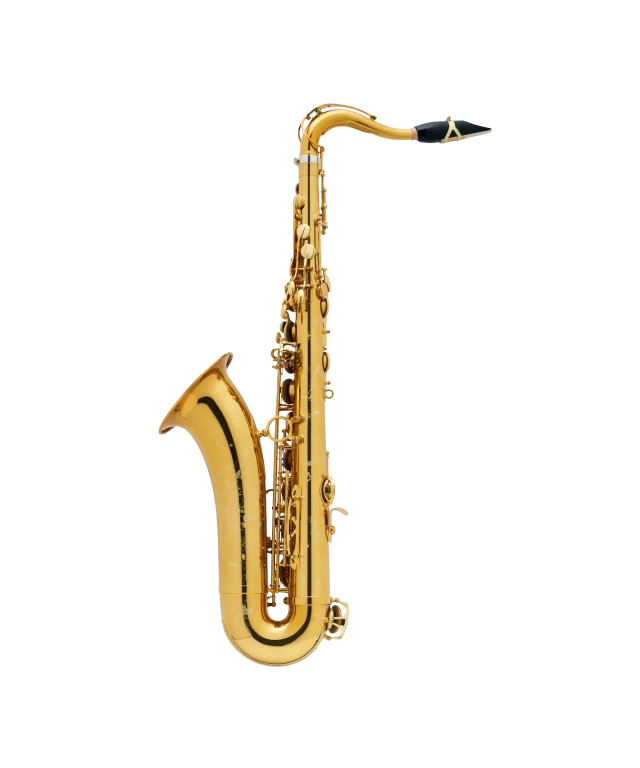 SELMER Tenor Supreme 2096