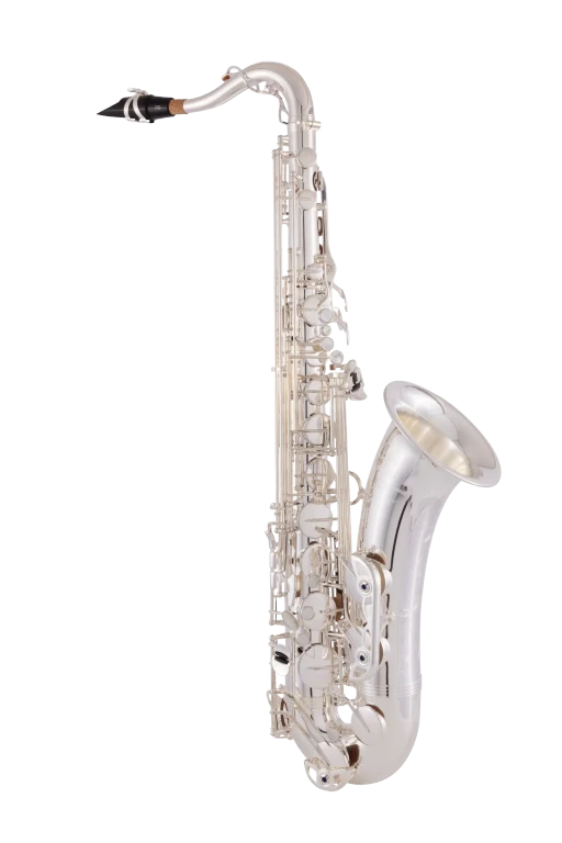 TWO10S Yanagisawa Professional TenorSaxophone