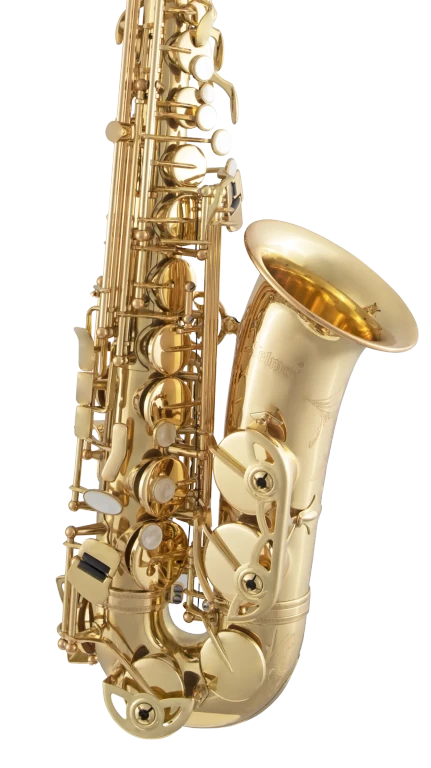 SAS511 Selmer Standard Alto Saxophone In Fr Vr Xcu