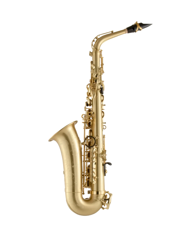 52JM HSP Professional Matte Alto Saxophone In Bk Vr Fs