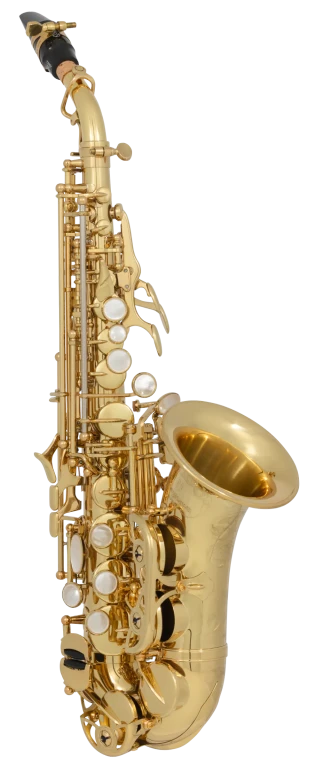 SCWO10 Yanagisawa Curves Soprano Saxophone