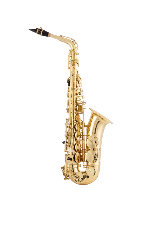 52AXOS HSP Professional AltoSaxophone