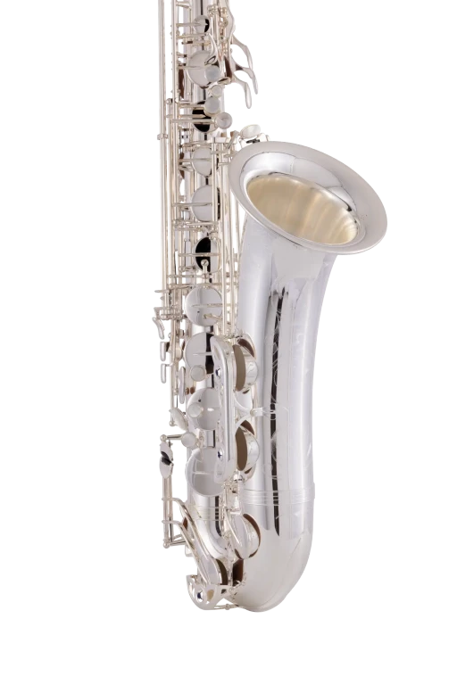 TWO10S Yanagisawa Professional TenorSaxophone