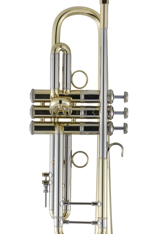 19072V Bach Professional Trumpet